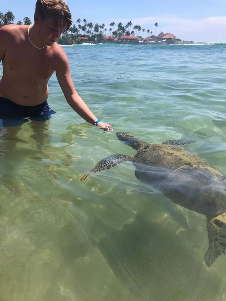 Jk House Turtle Point Ξενοδοχείο Dikwella Εξωτερικό φωτογραφία